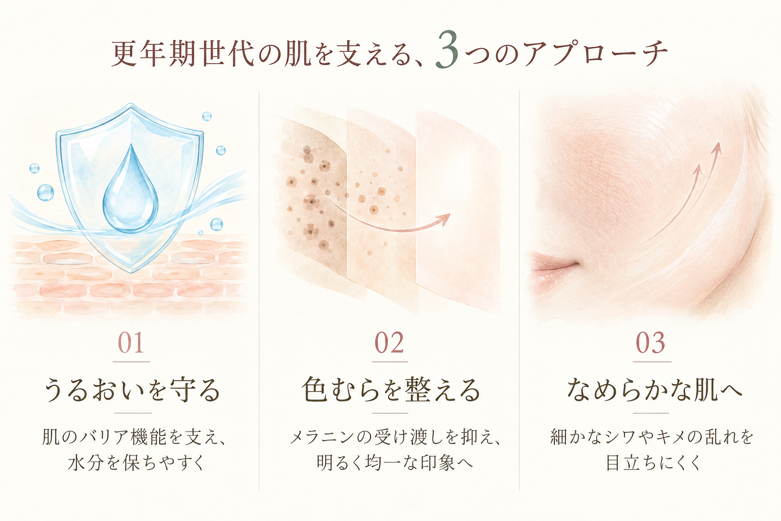 ナイアシンアミドに期待できる3つのことを示すインフォグラフィック